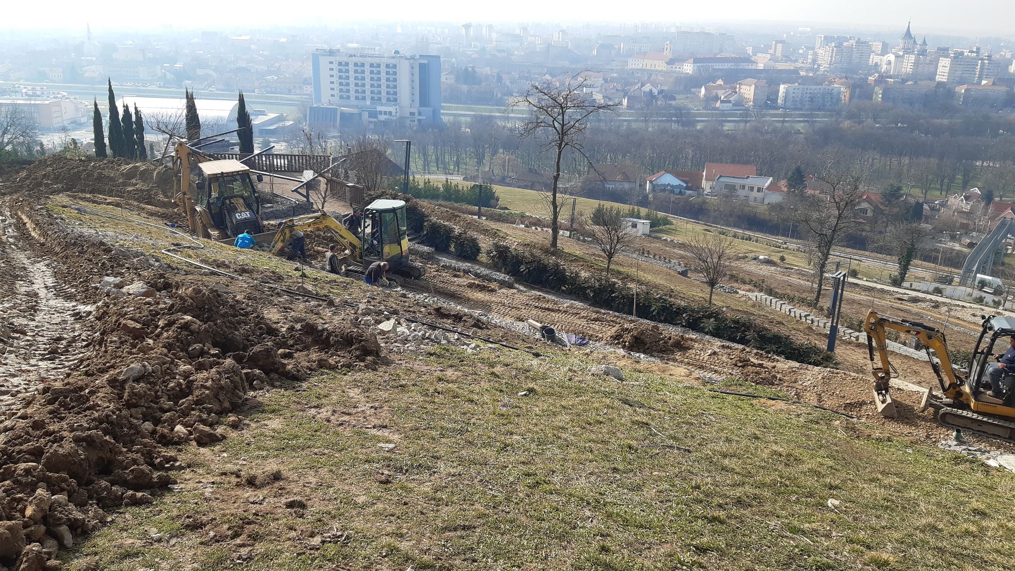 lucrari deal ciuperca oradea (19)