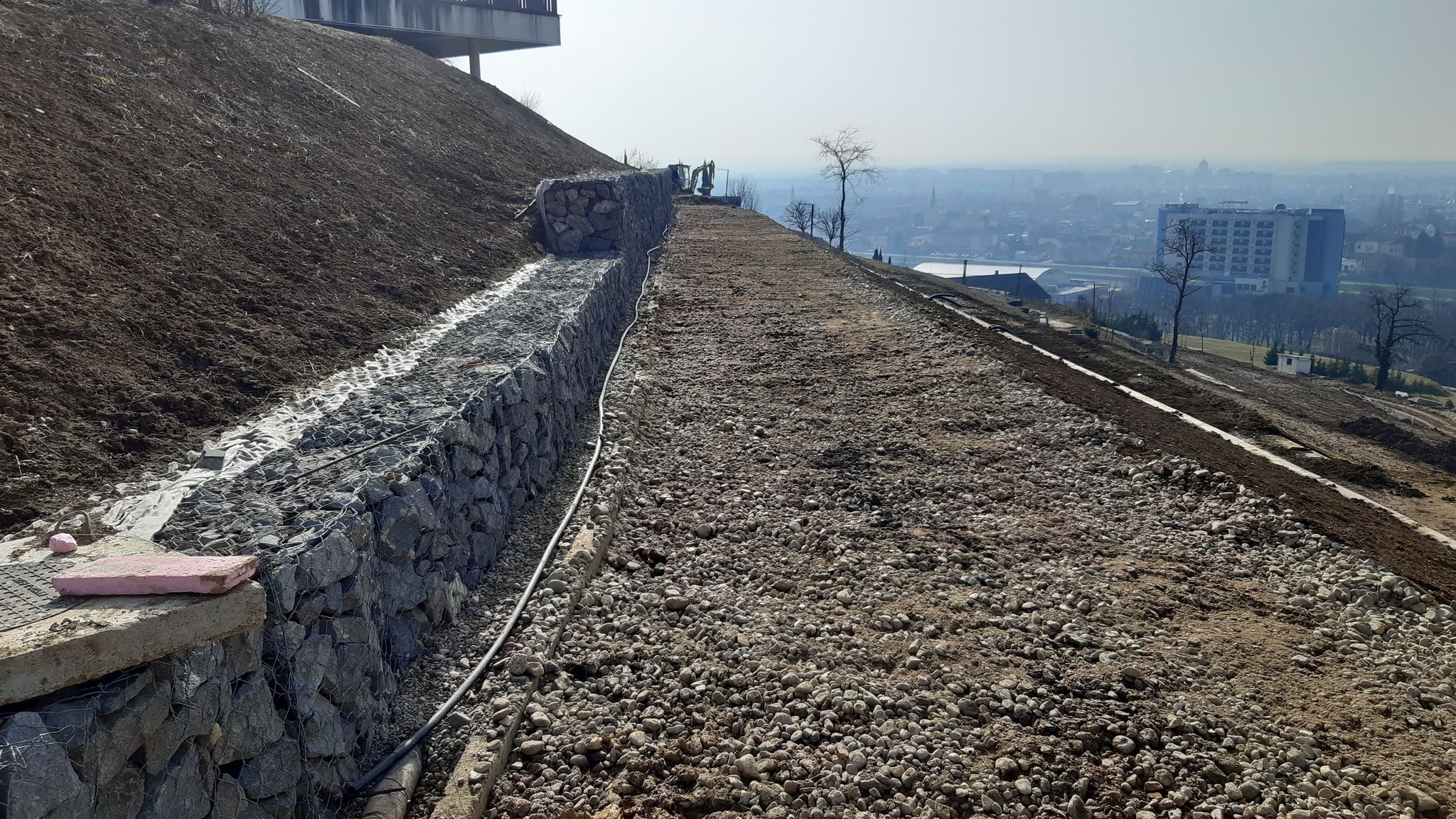 lucrari deal ciuperca oradea (20)