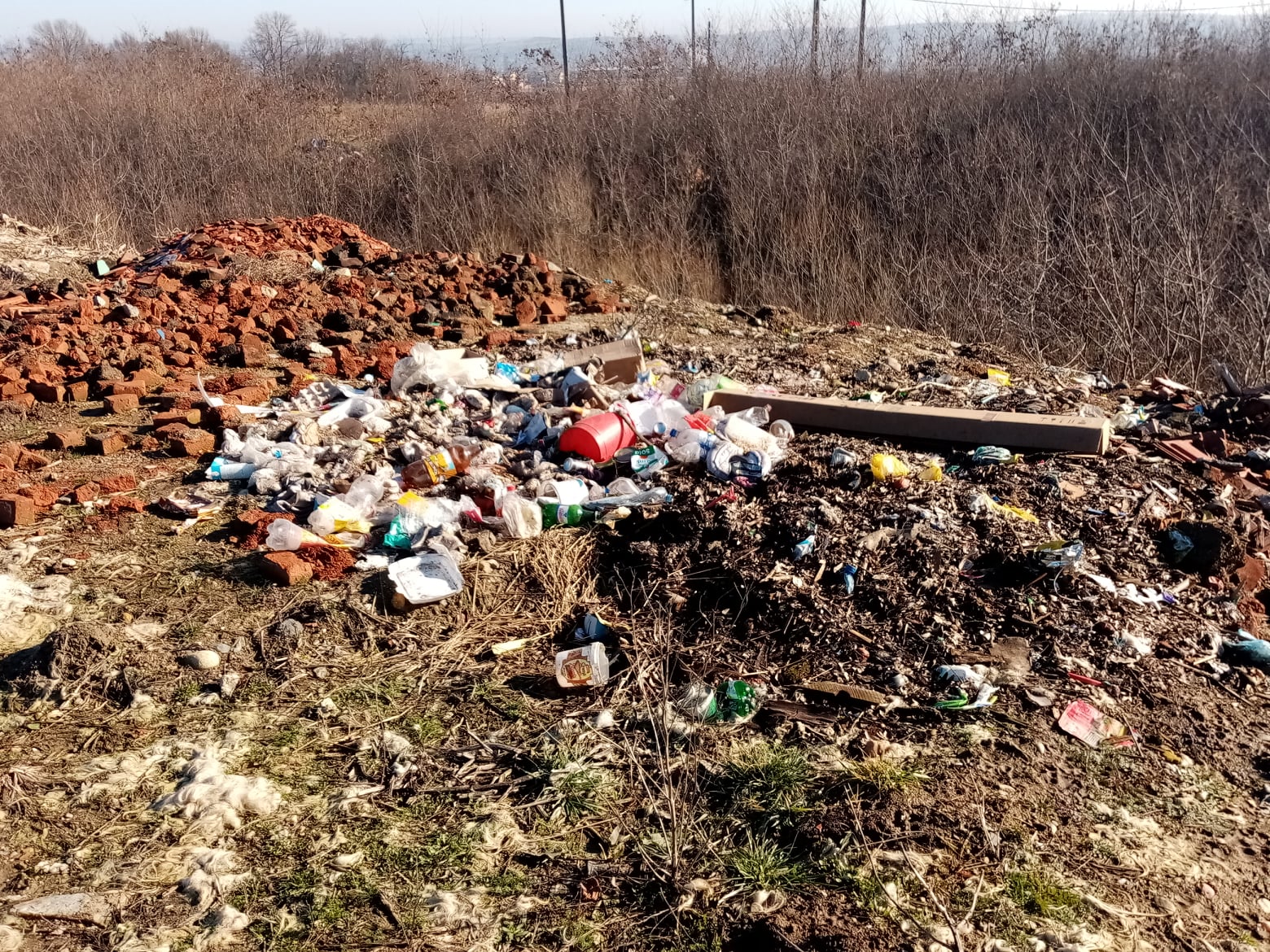 deseuri gunoi suplacu de barcau (1)