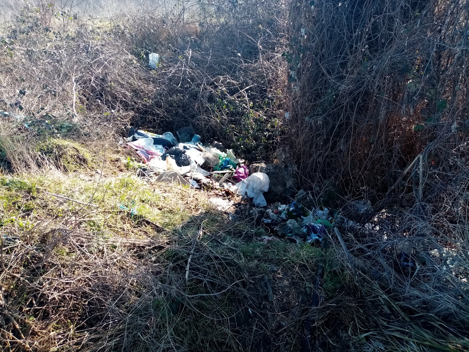 deseuri gunoi suplacu de barcau (2)