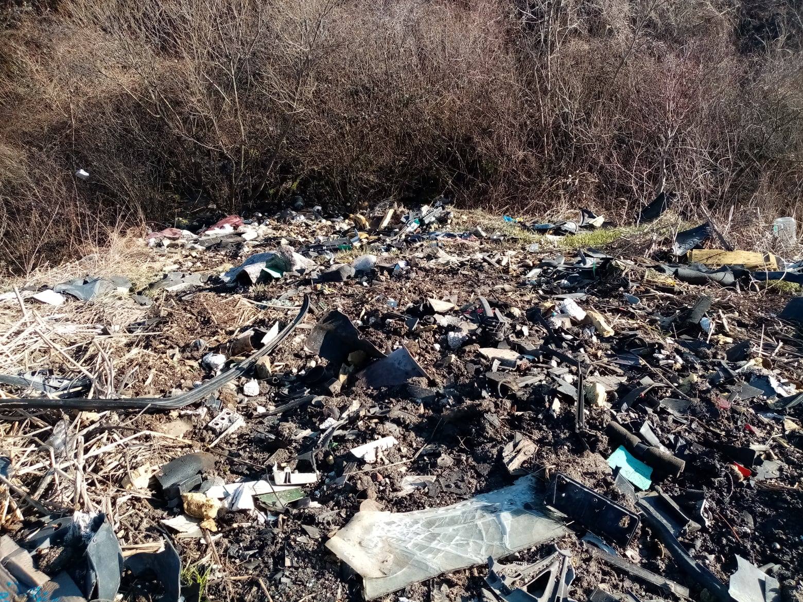 deseuri gunoi suplacu de barcau (4)