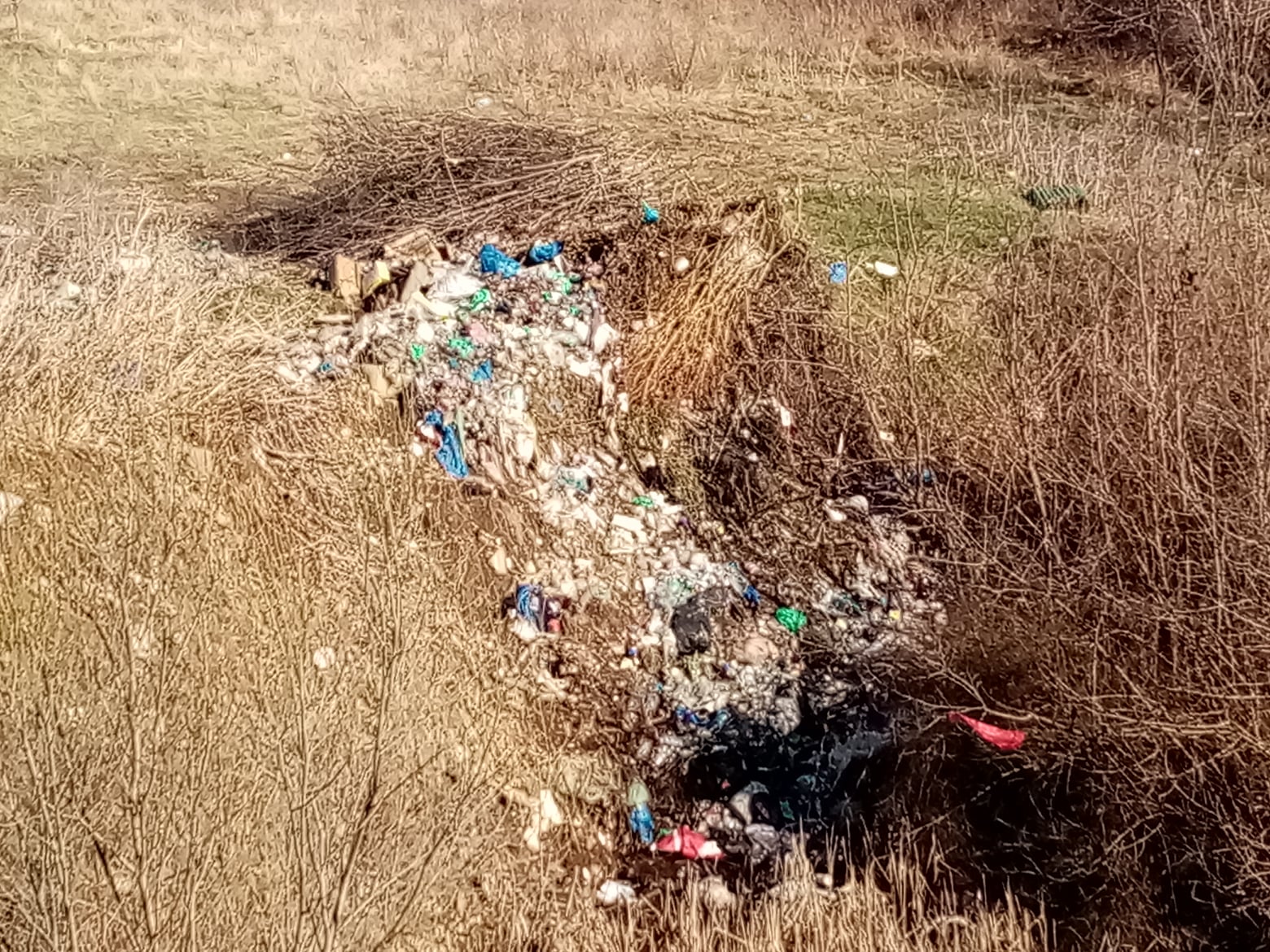 deseuri gunoi suplacu de barcau (5)