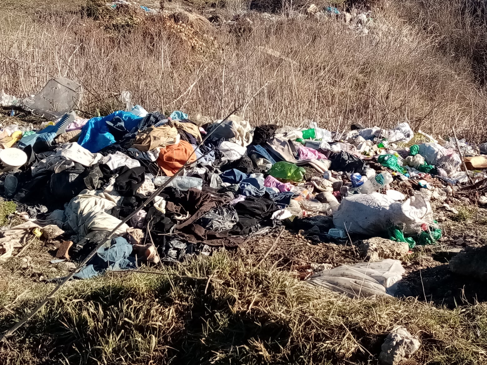 deseuri gunoi suplacu de barcau (6)