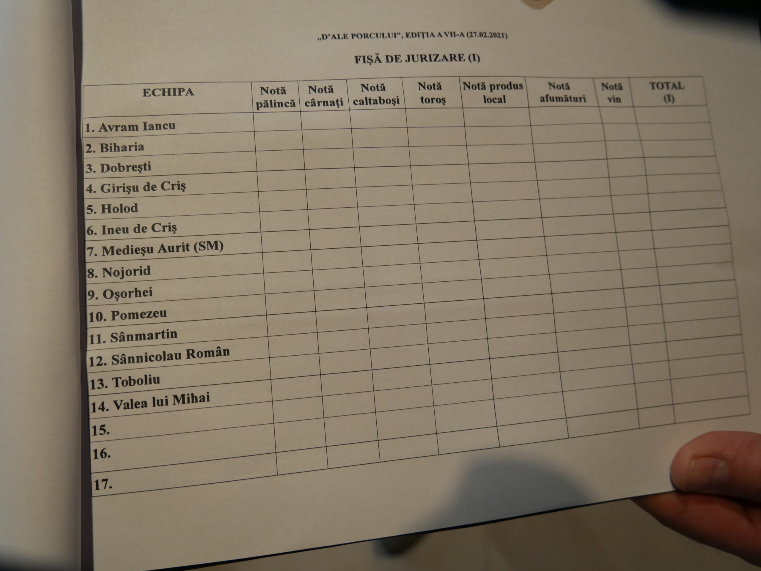 Festival D-ale porcului (8)