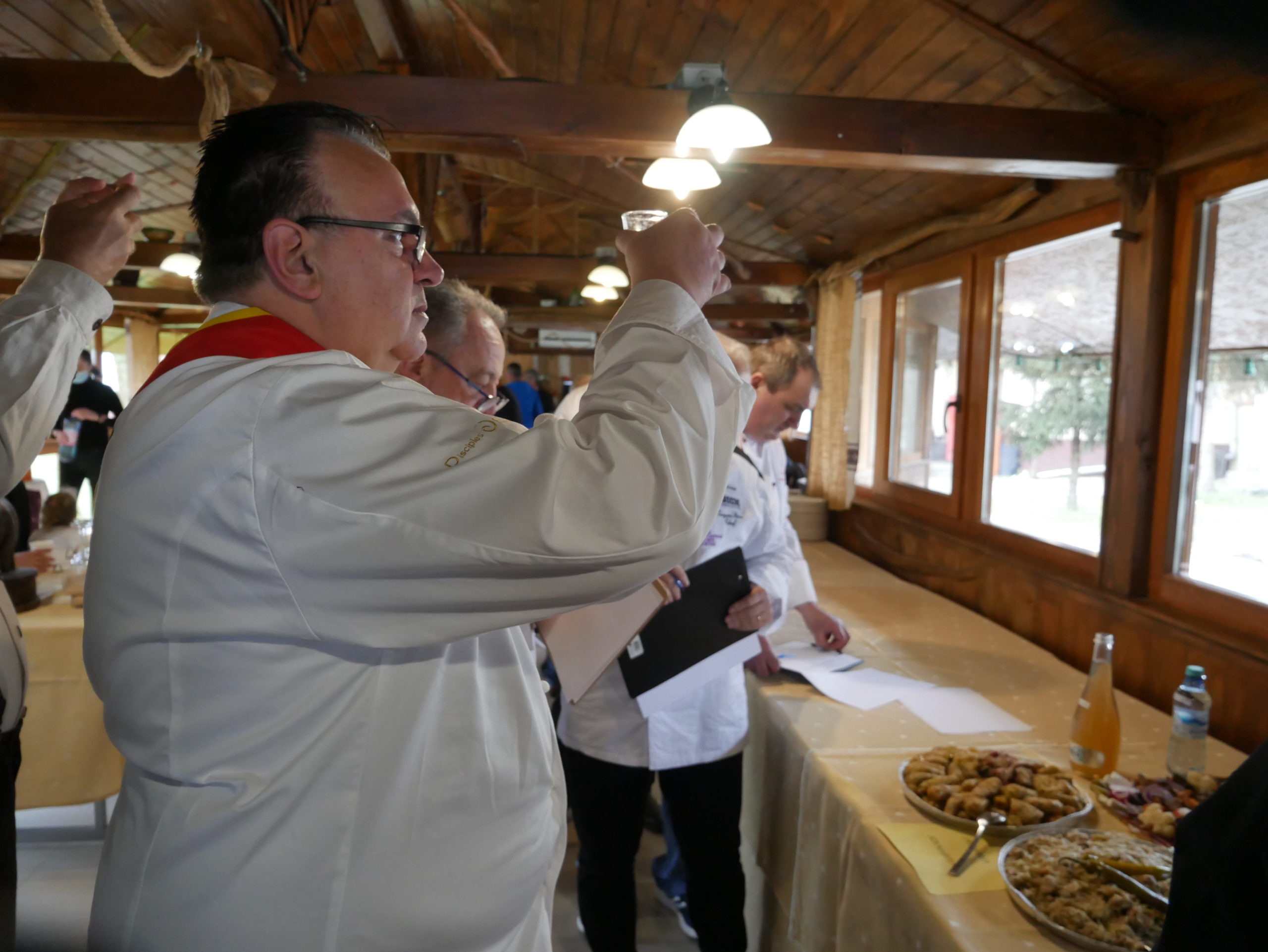 Festival D-ale porcului (27)