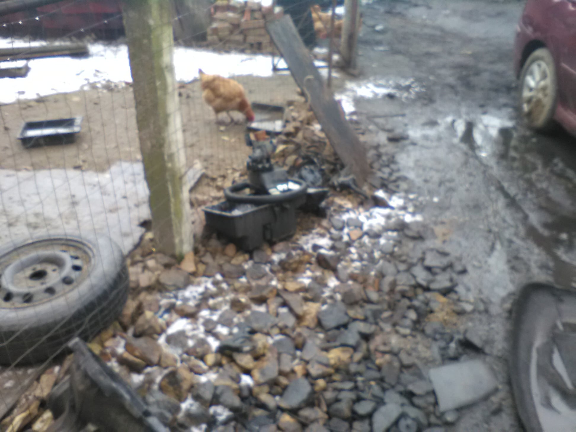 155486099_252566126425693_4591434178769397128_o