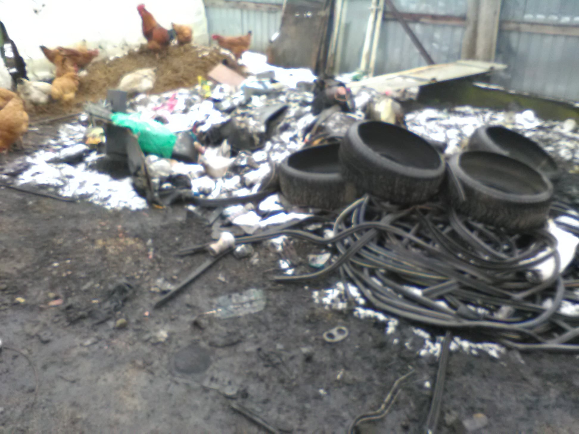 156342294_252566219759017_3157470762812284792_o