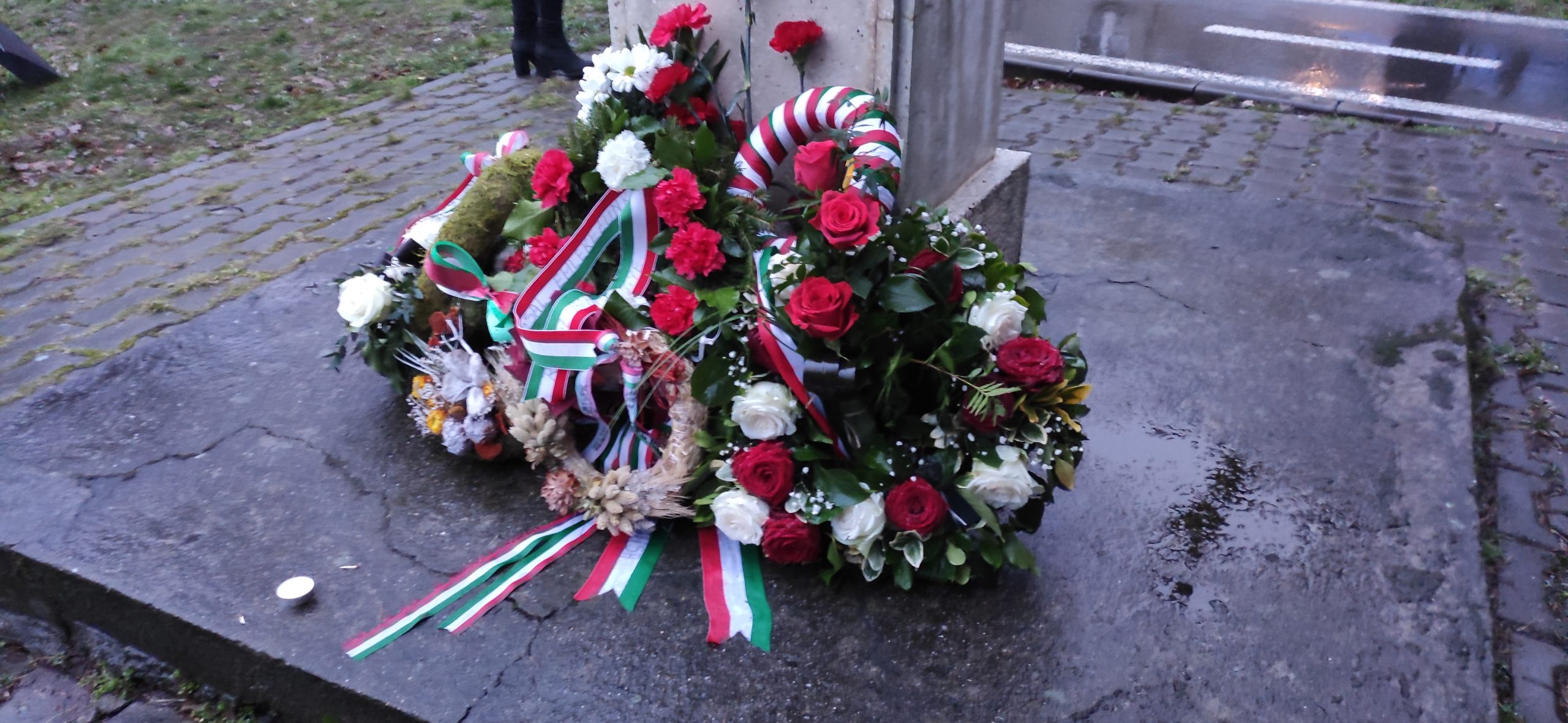 IMG_20210315_183416 (1)