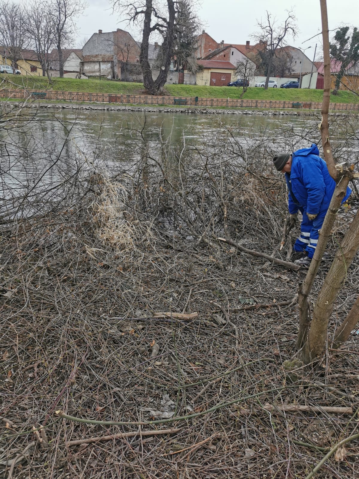 163448727_540465406932339_3766244850578236096_n