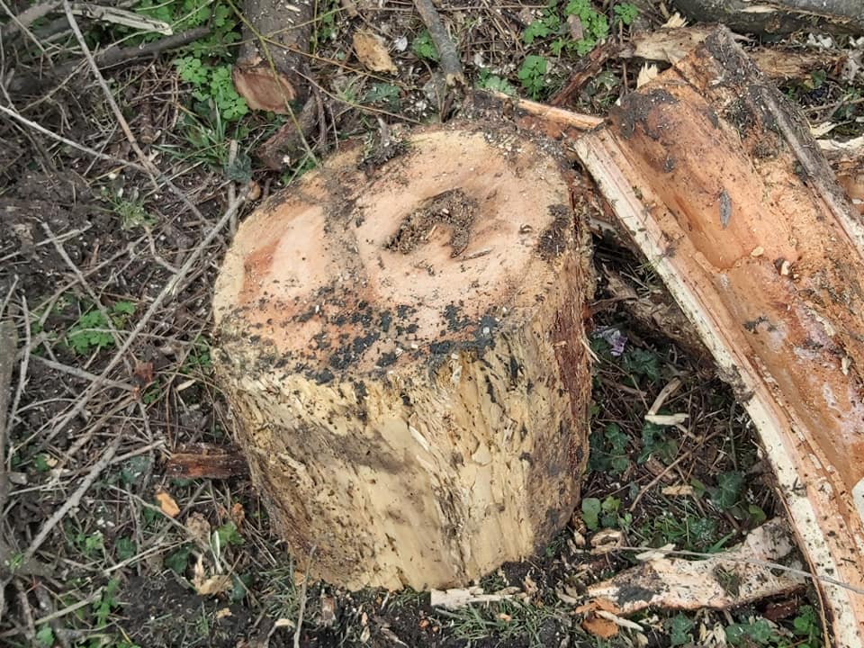 163454388_4016743455049892_4483311444634530707_n