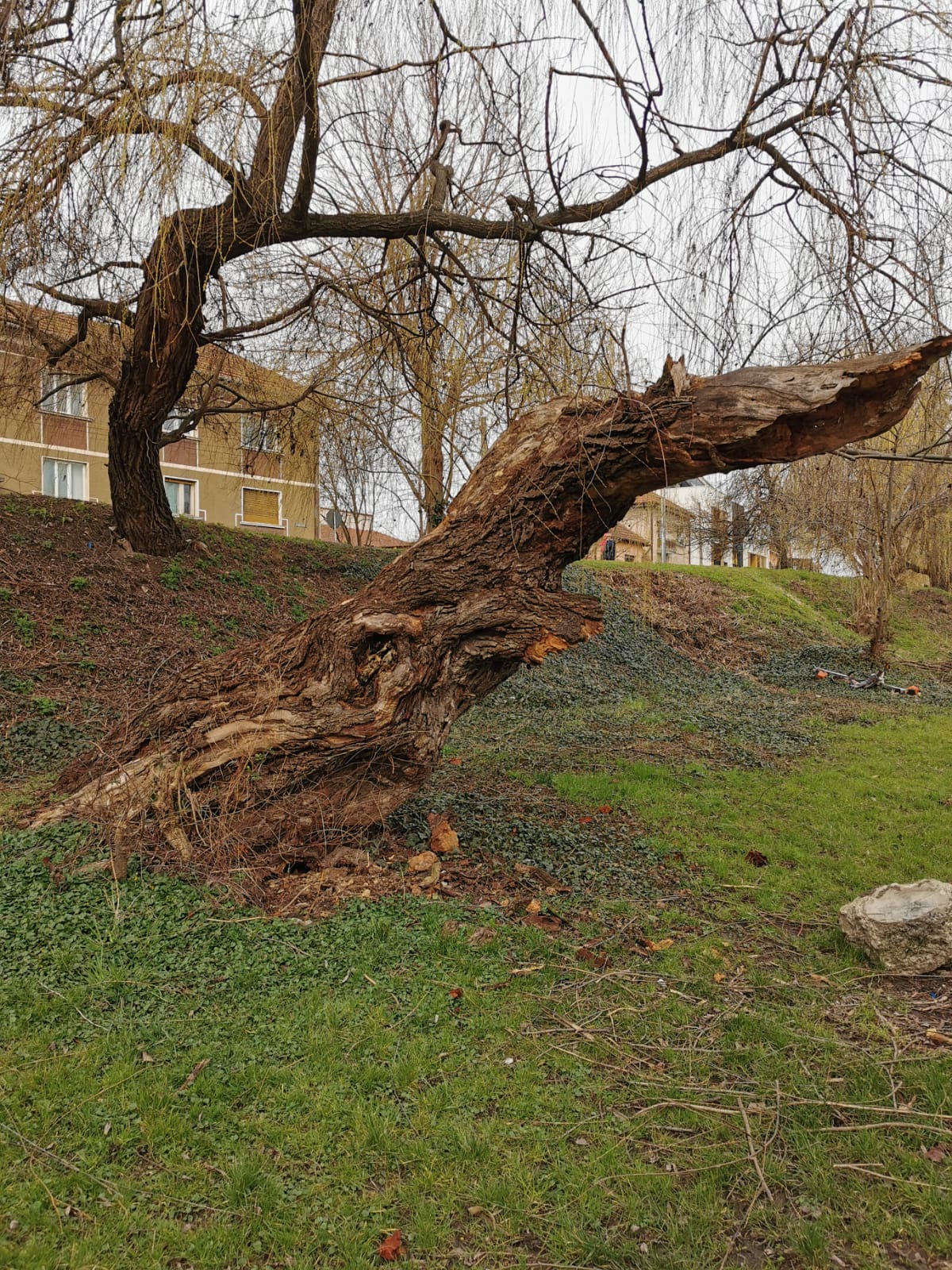 163649922_941594169945587_2716975096443118429_n