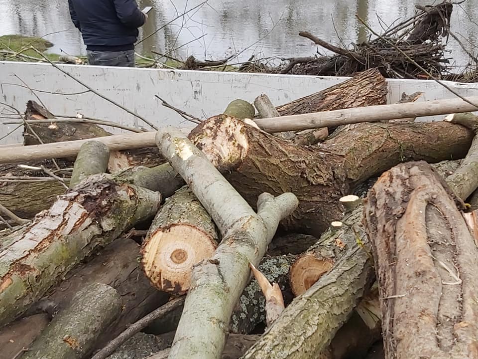 163687633_769644496994031_480062646911677244_n