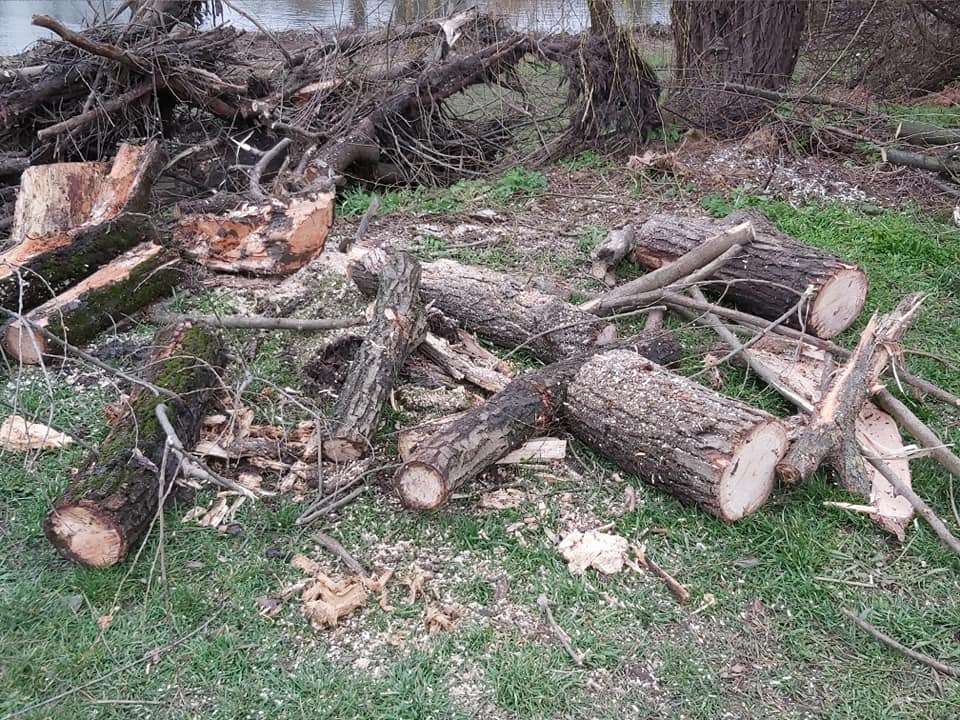 163804460_2754138771565092_5458452918856457207_n