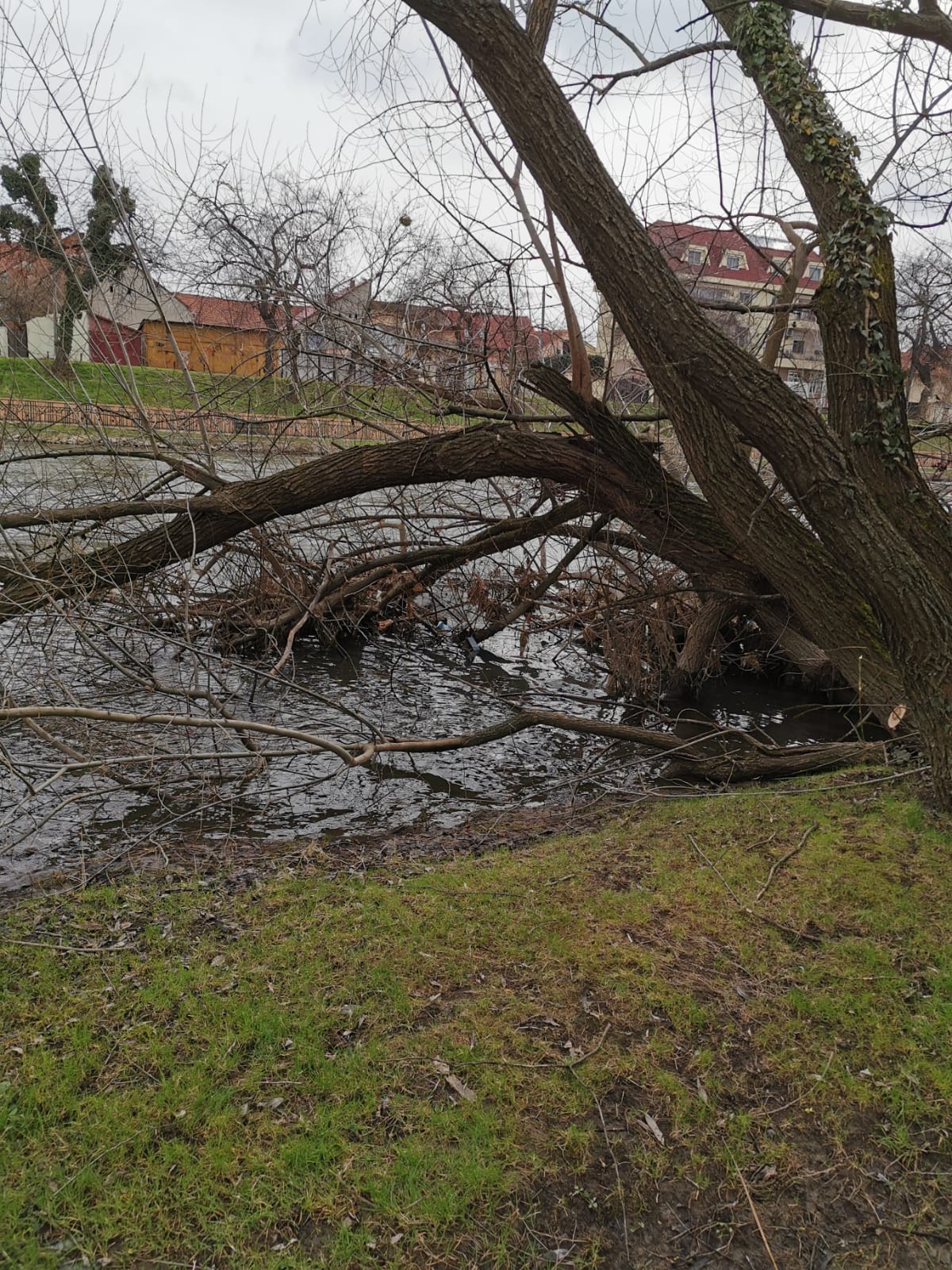 163804610_1620565804811362_2018569509464919984_n