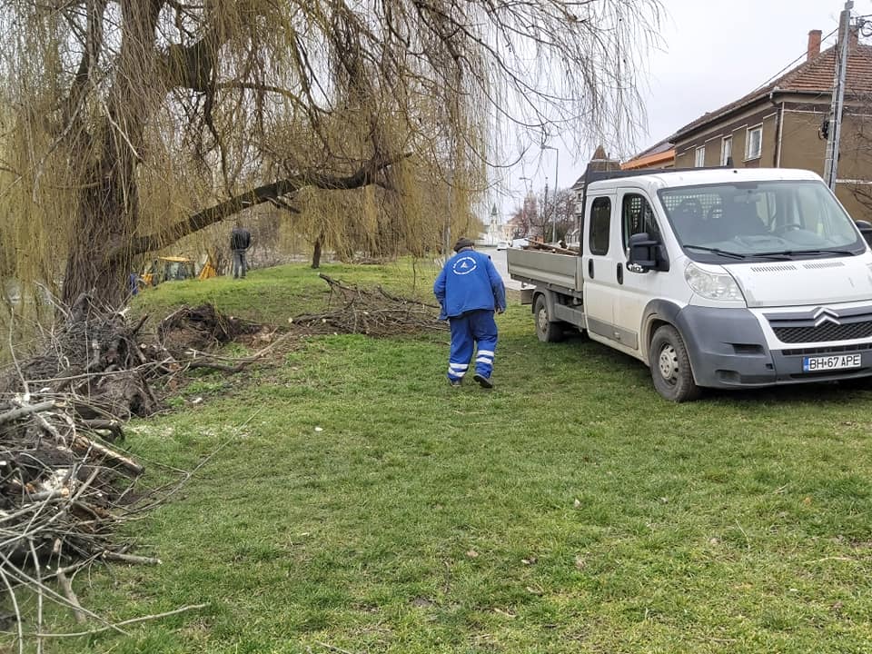 163883499_435780067490068_2989413606187775267_n