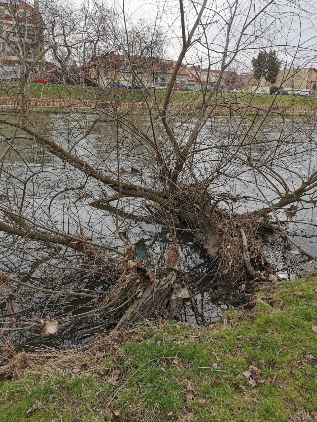 164332052_349106503104325_5639195000215884595_n