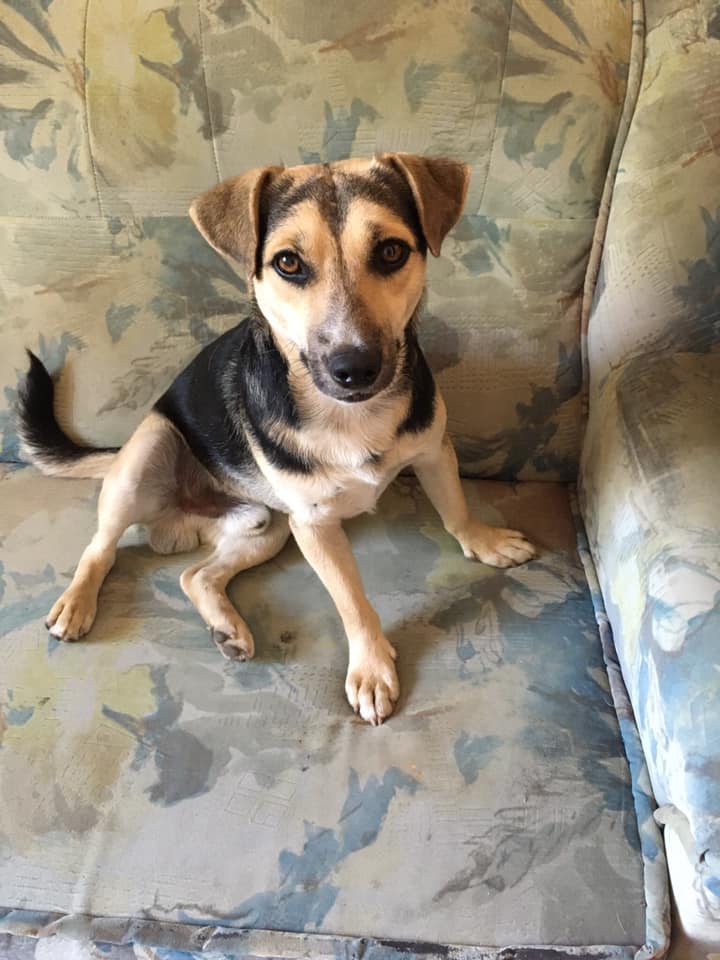 160030106_10218732537571490_5141070134769012737_n