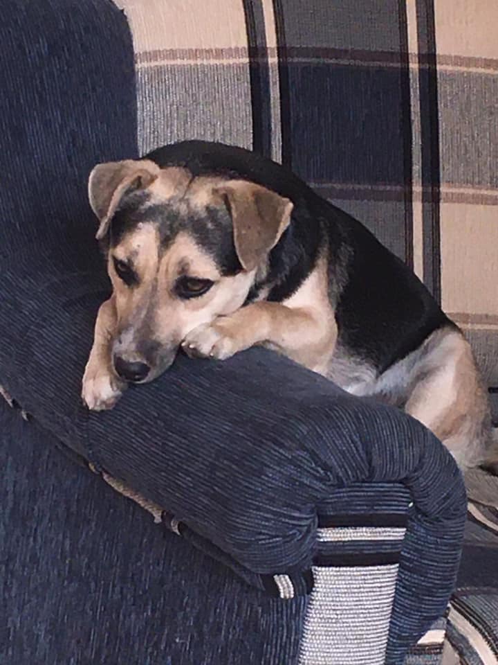 160411203_10218748352486853_7317070857221158572_n