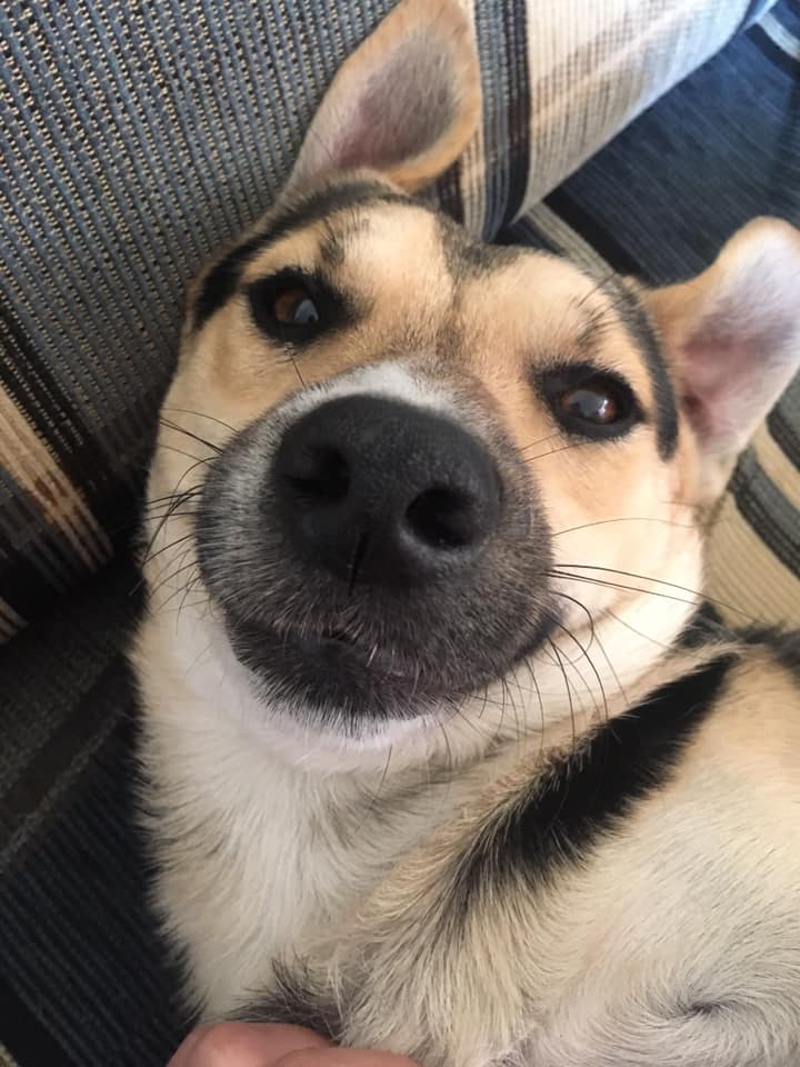 160492627_10218748350646807_1806141410290143022_n