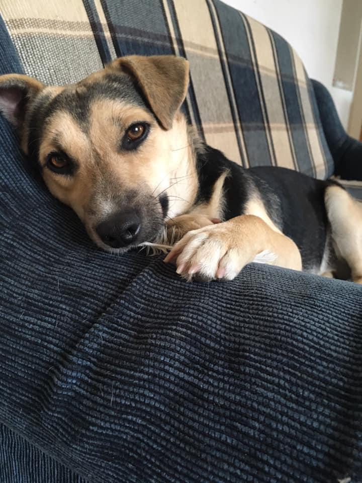 160492628_10218748350006791_60055671305443800_n