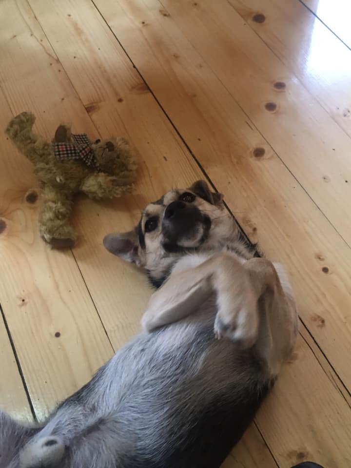 160842744_10218748350726809_2629868908455126043_n