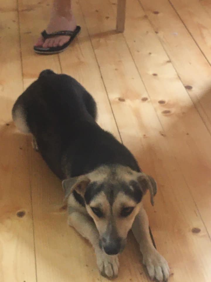 161037984_10218748351926839_9210548162221101225_n