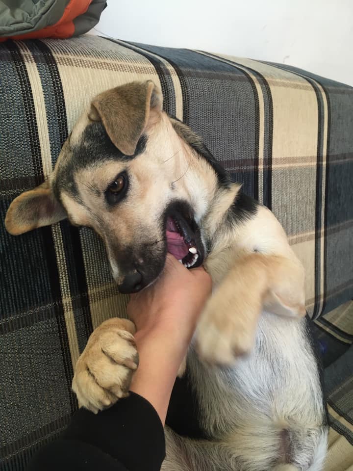 161177233_10218748351526829_3396284813208775715_n