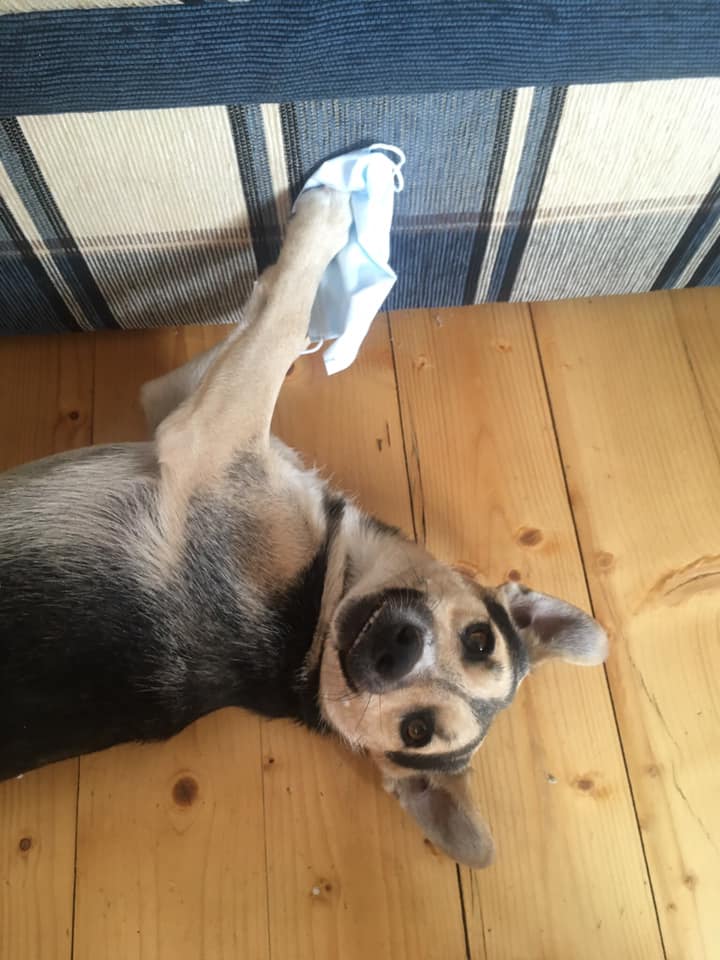 162195452_10218778484880144_8901028229702491296_n