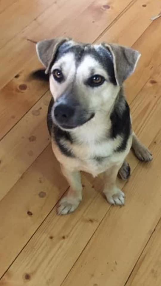 163729268_10218790532341323_4133081878738450600_n