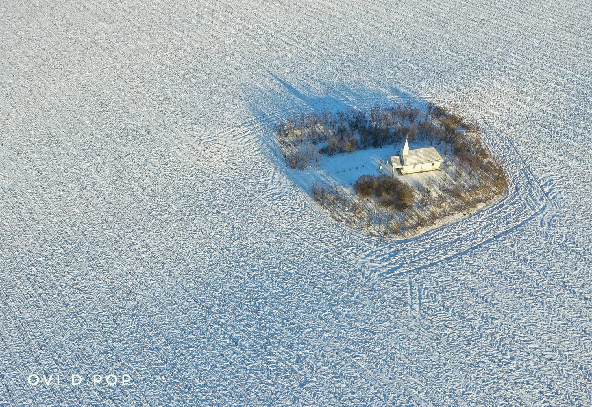 163089456_3765356430166265_1641192811472604589_o