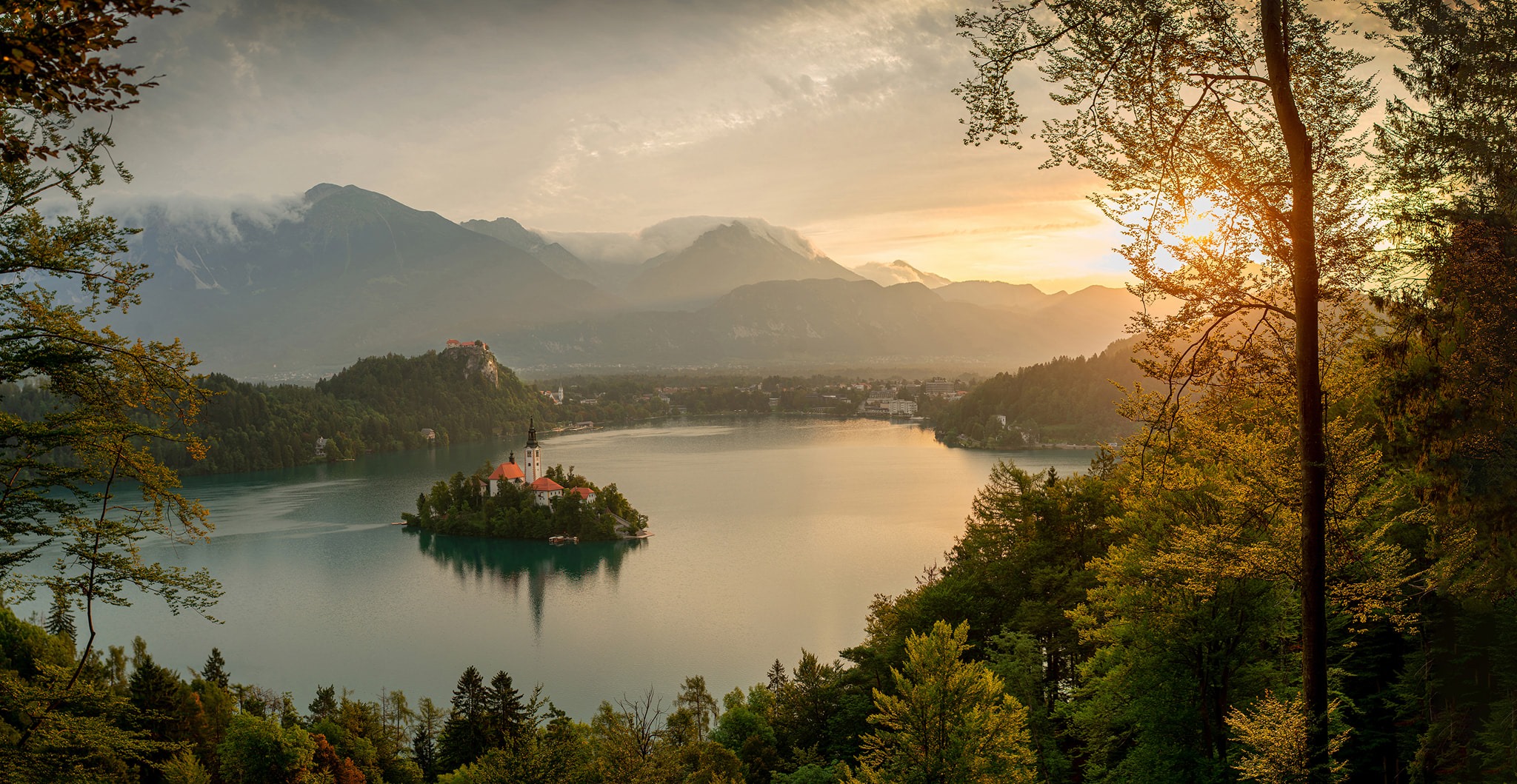 163154500_3765355680166340_8675207252077844395_o