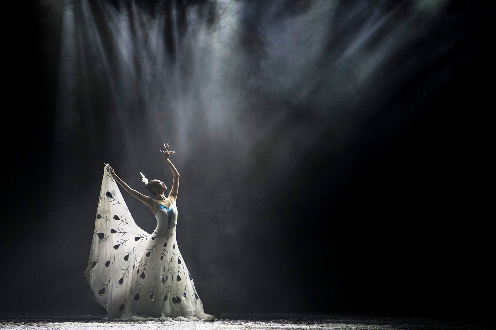 163203662_3765354840166424_777069156895136730_o