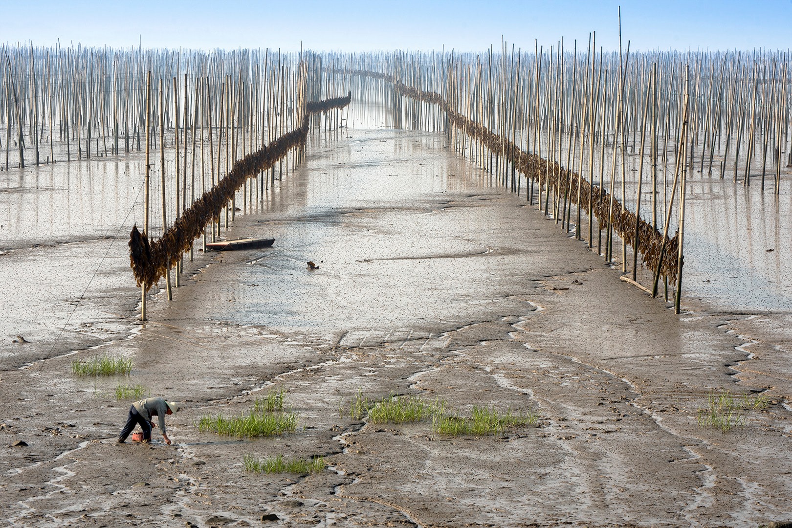 163601650_3765354260166482_7253550244529028650_o