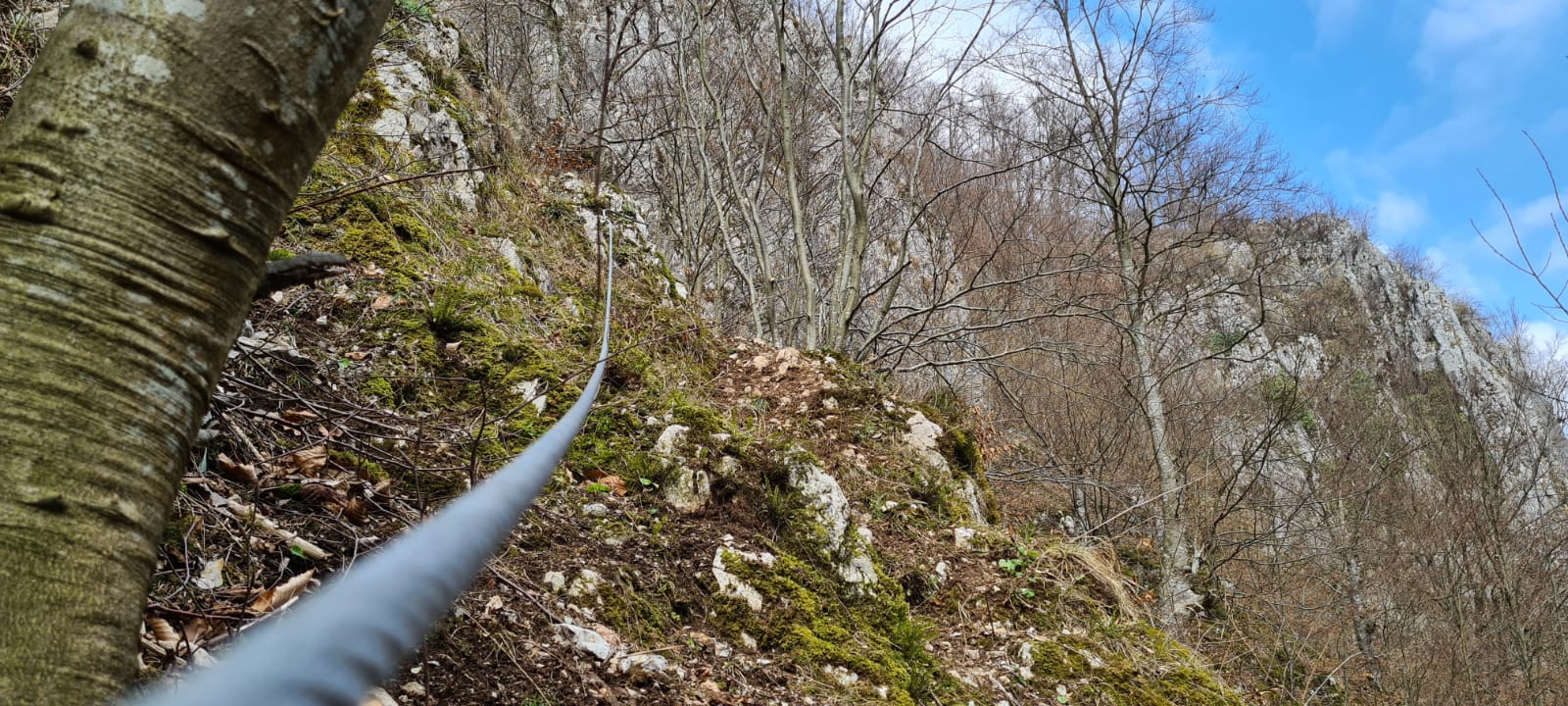 whatsapp-image-2021-03-26-at-115834_51073284112_o