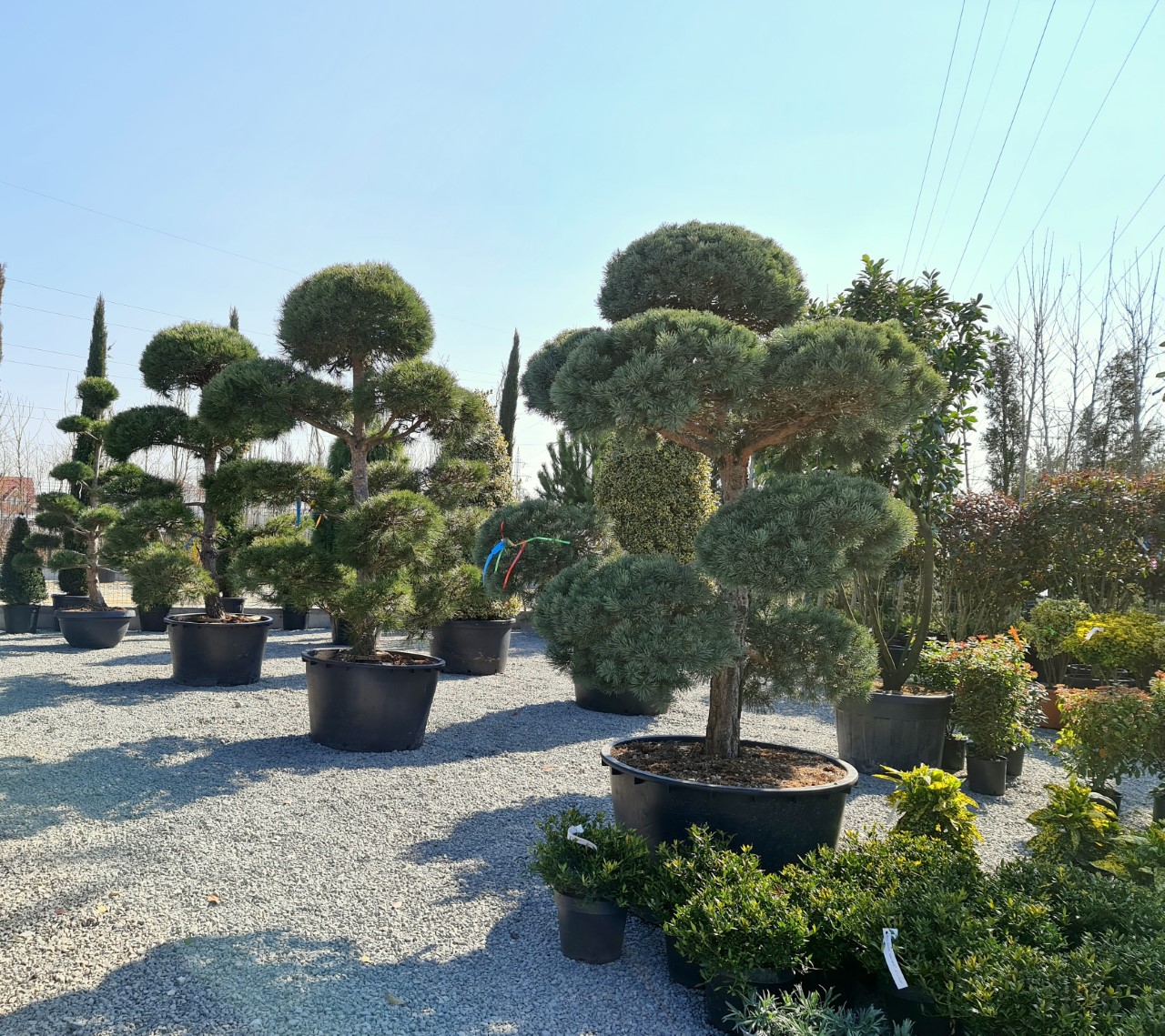 thumbnail_20210327_111338