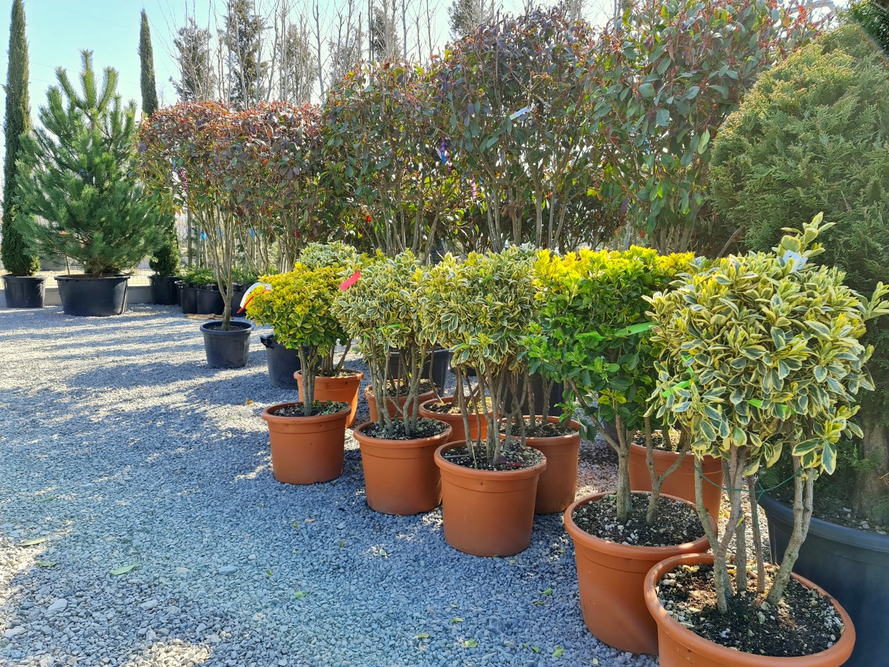 thumbnail_20210327_111628