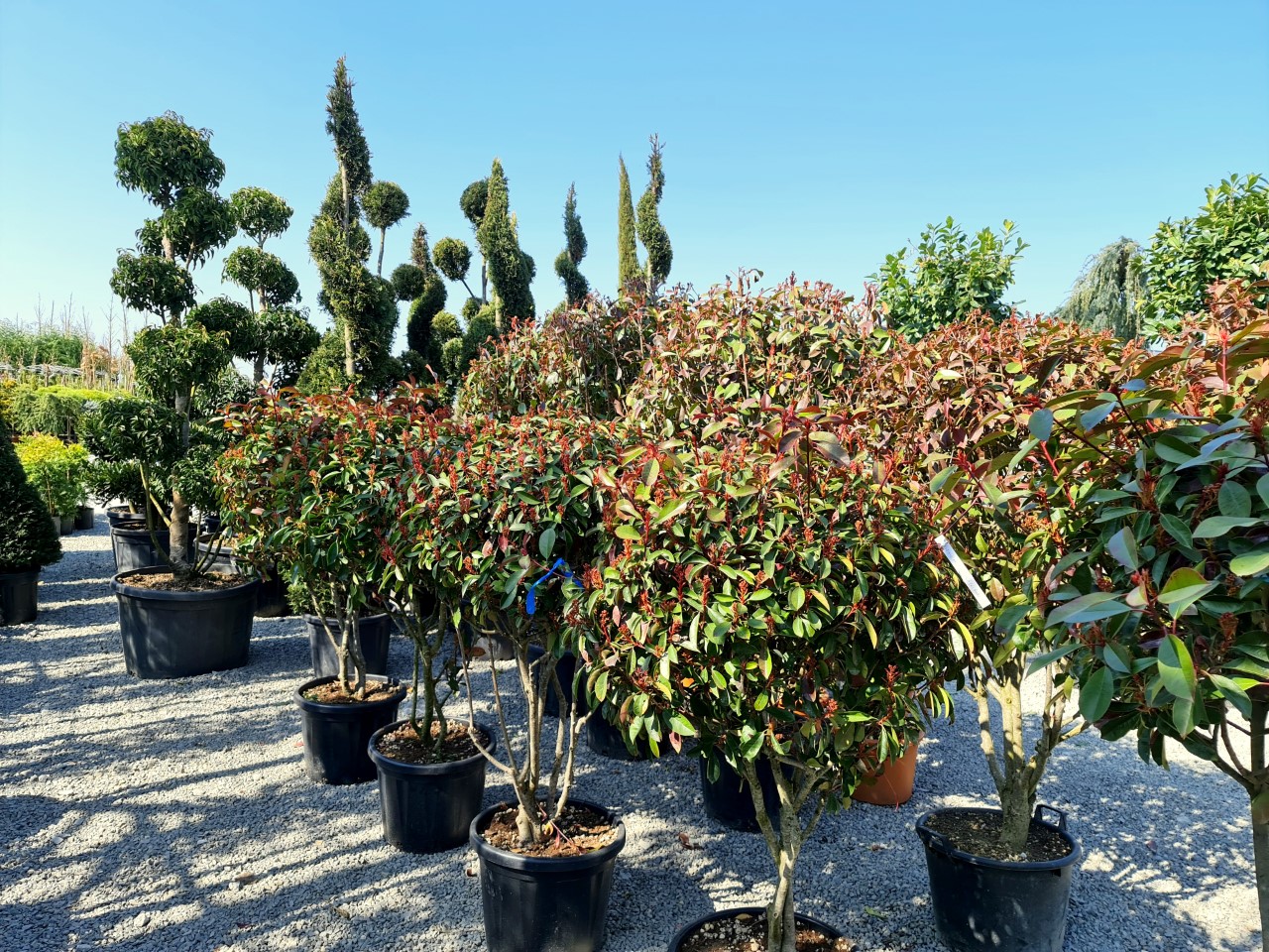 thumbnail_20210327_111642