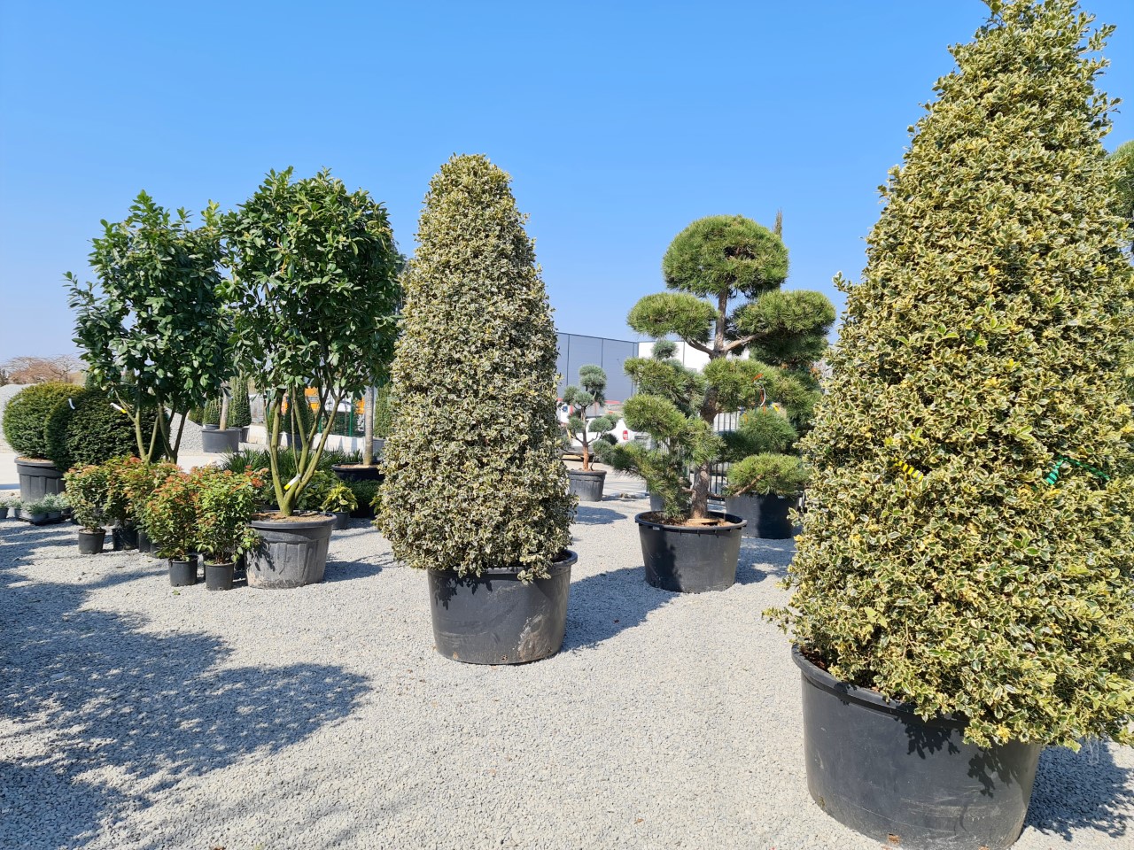 thumbnail_20210327_111650