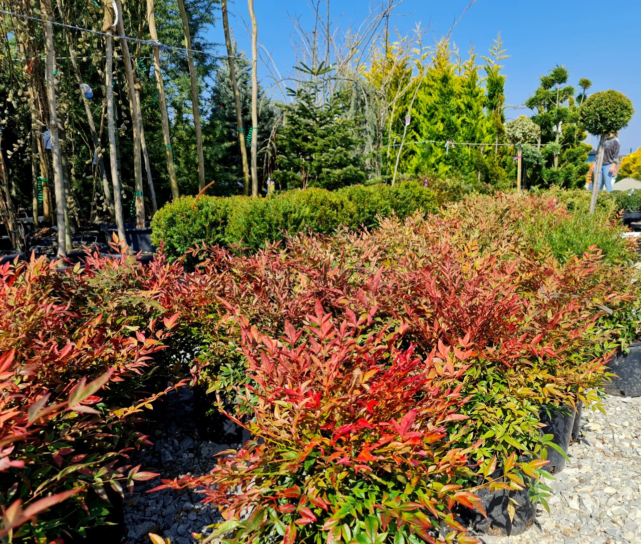 thumbnail_20210327_111817