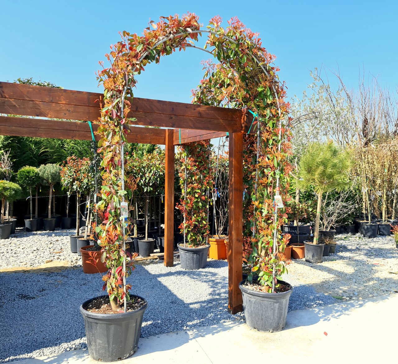 thumbnail_20210327_111917