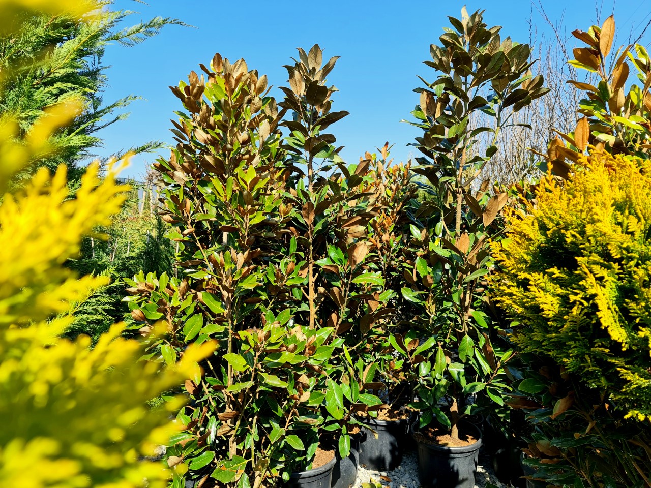 thumbnail_20210327_112000