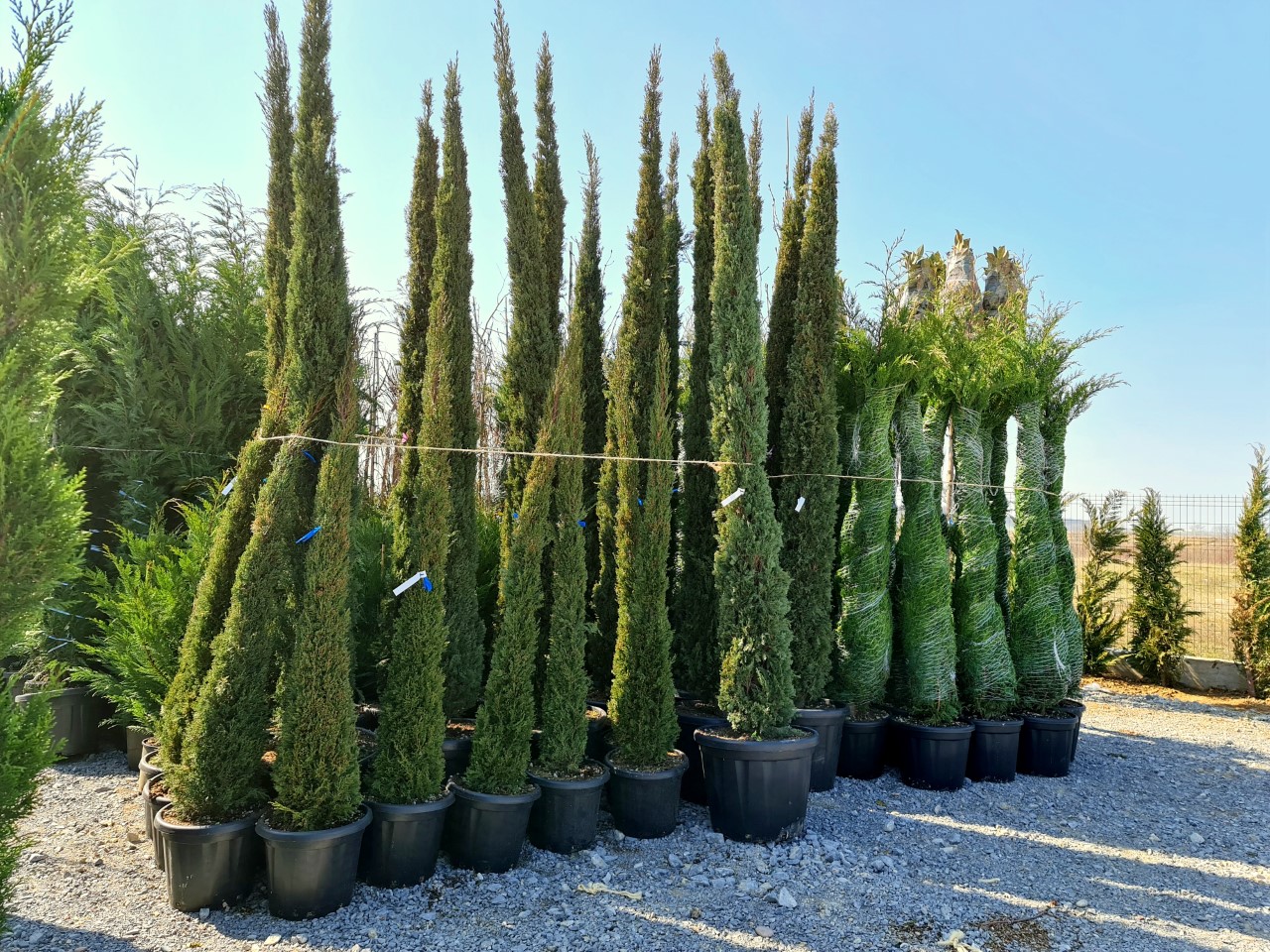 thumbnail_20210327_112124