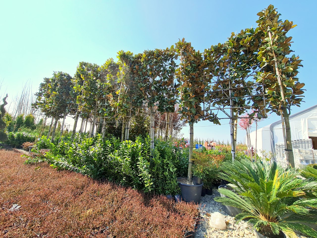 thumbnail_20210327_112506