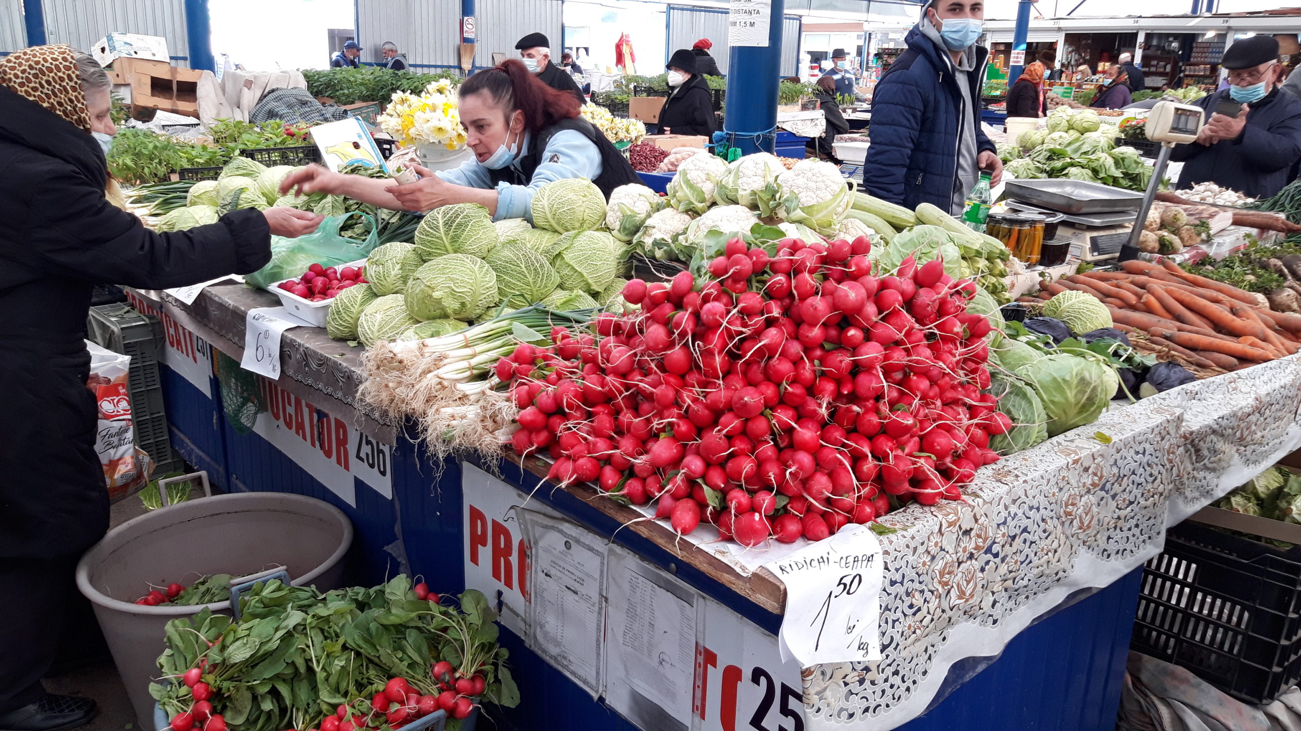 piata cetate oradea (18)