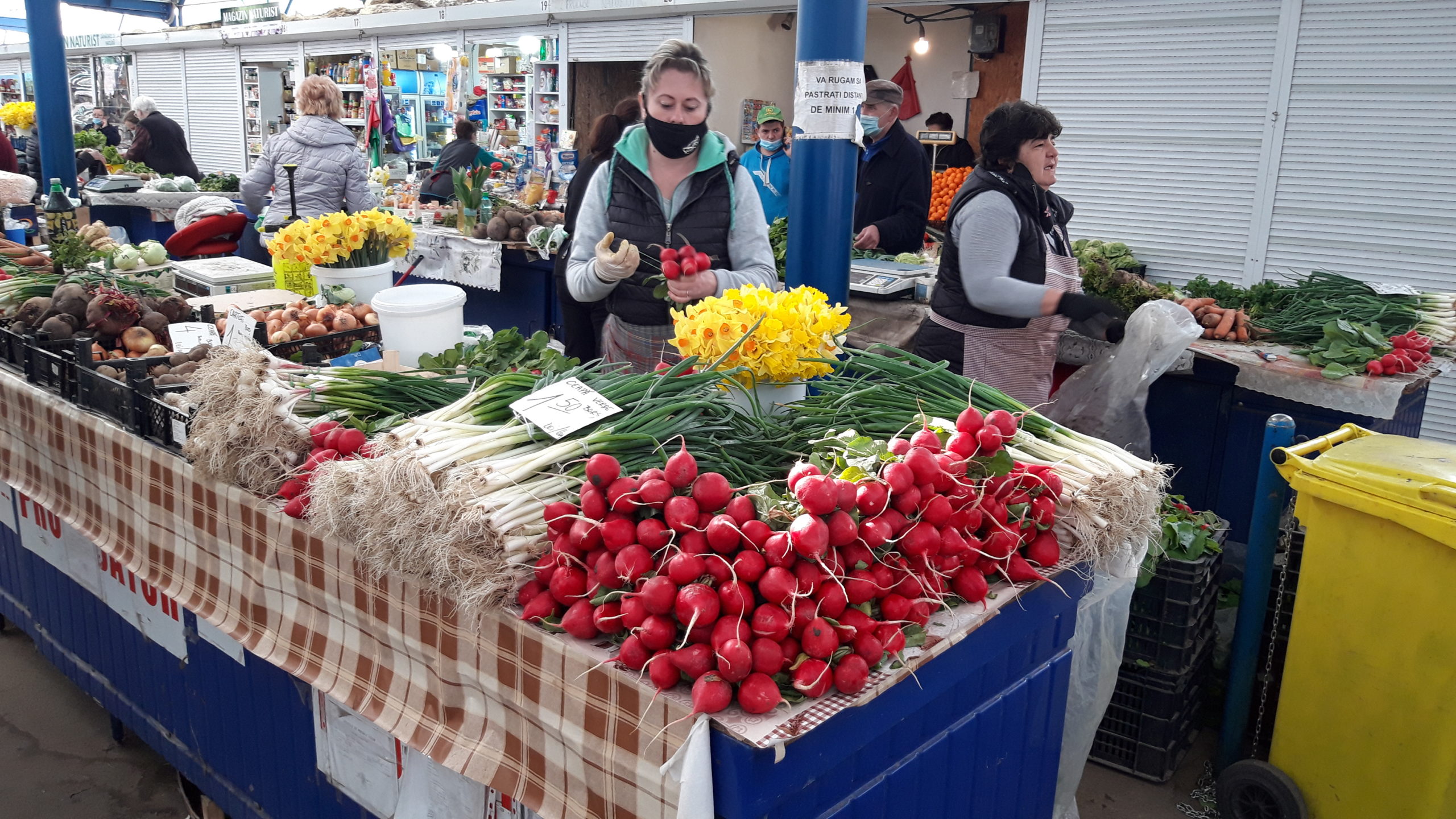 piata cetate oradea (23)