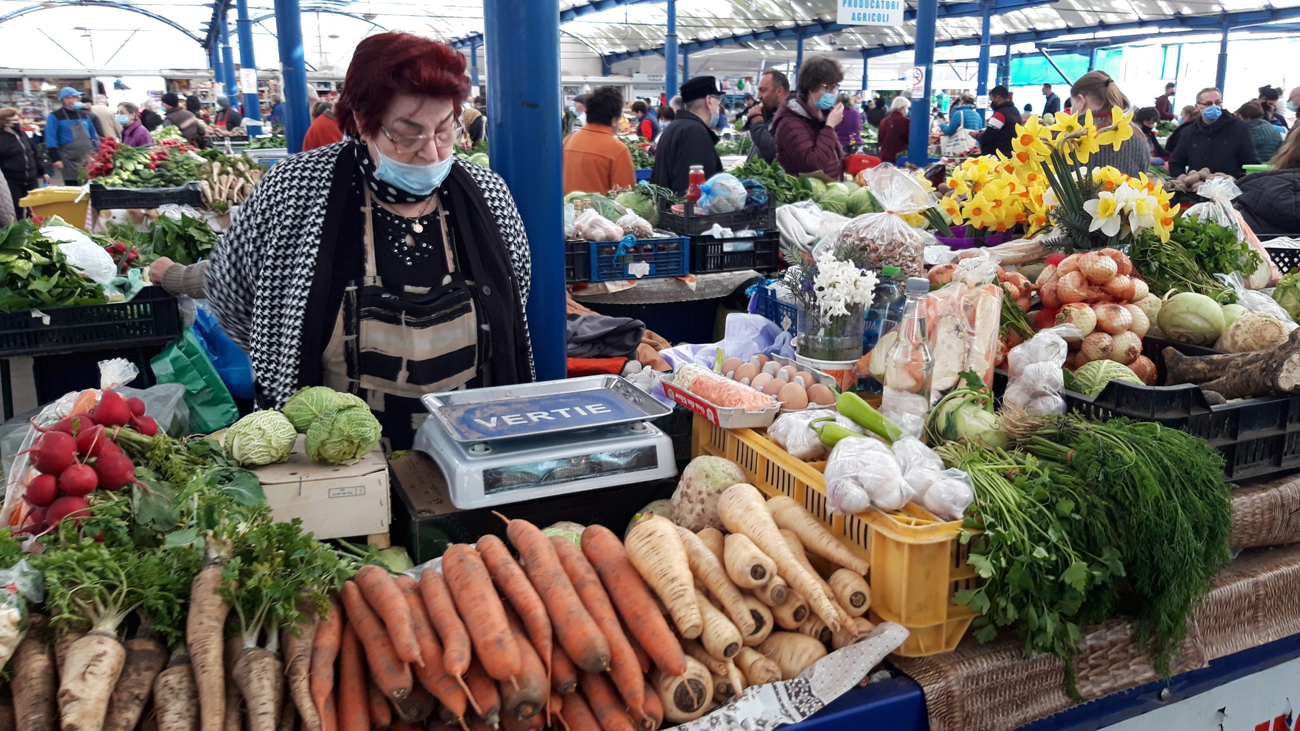 piata cetate oradea (25)