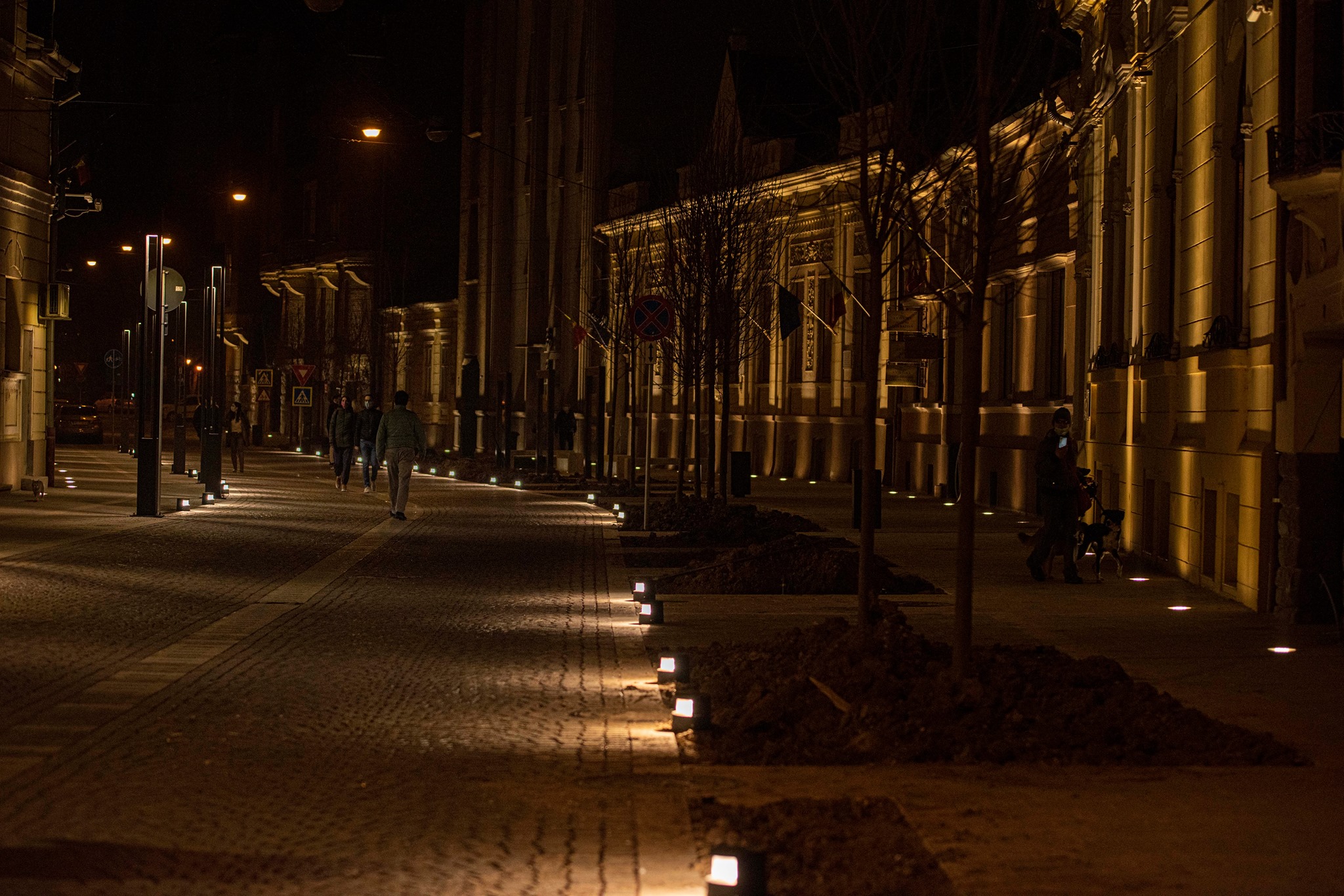 pietonala aurel lazar (1)