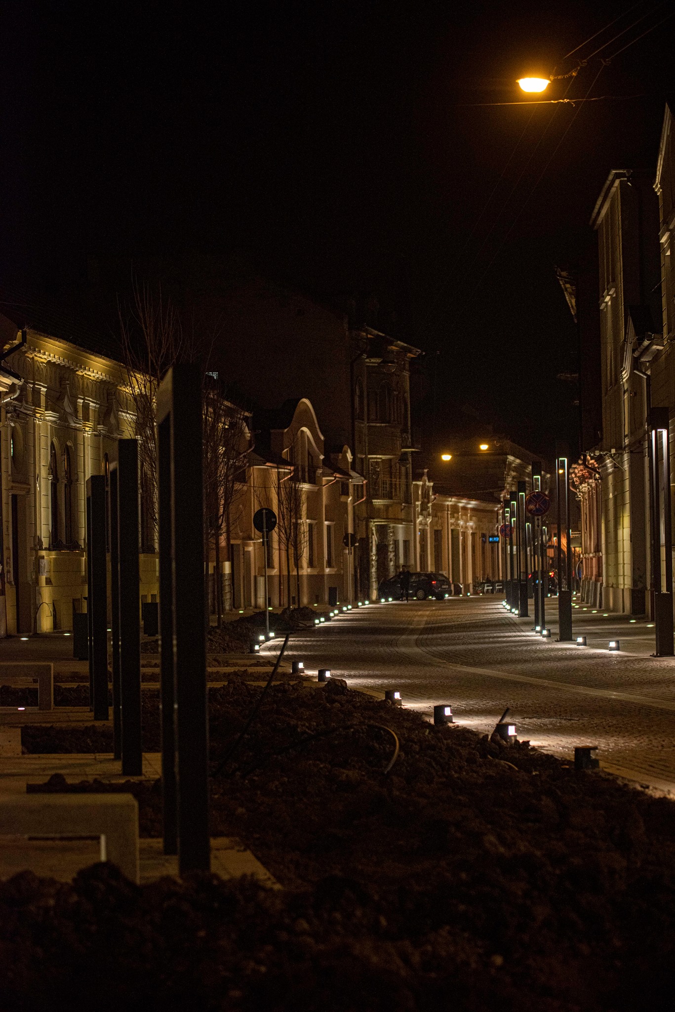 pietonala aurel lazar (4)