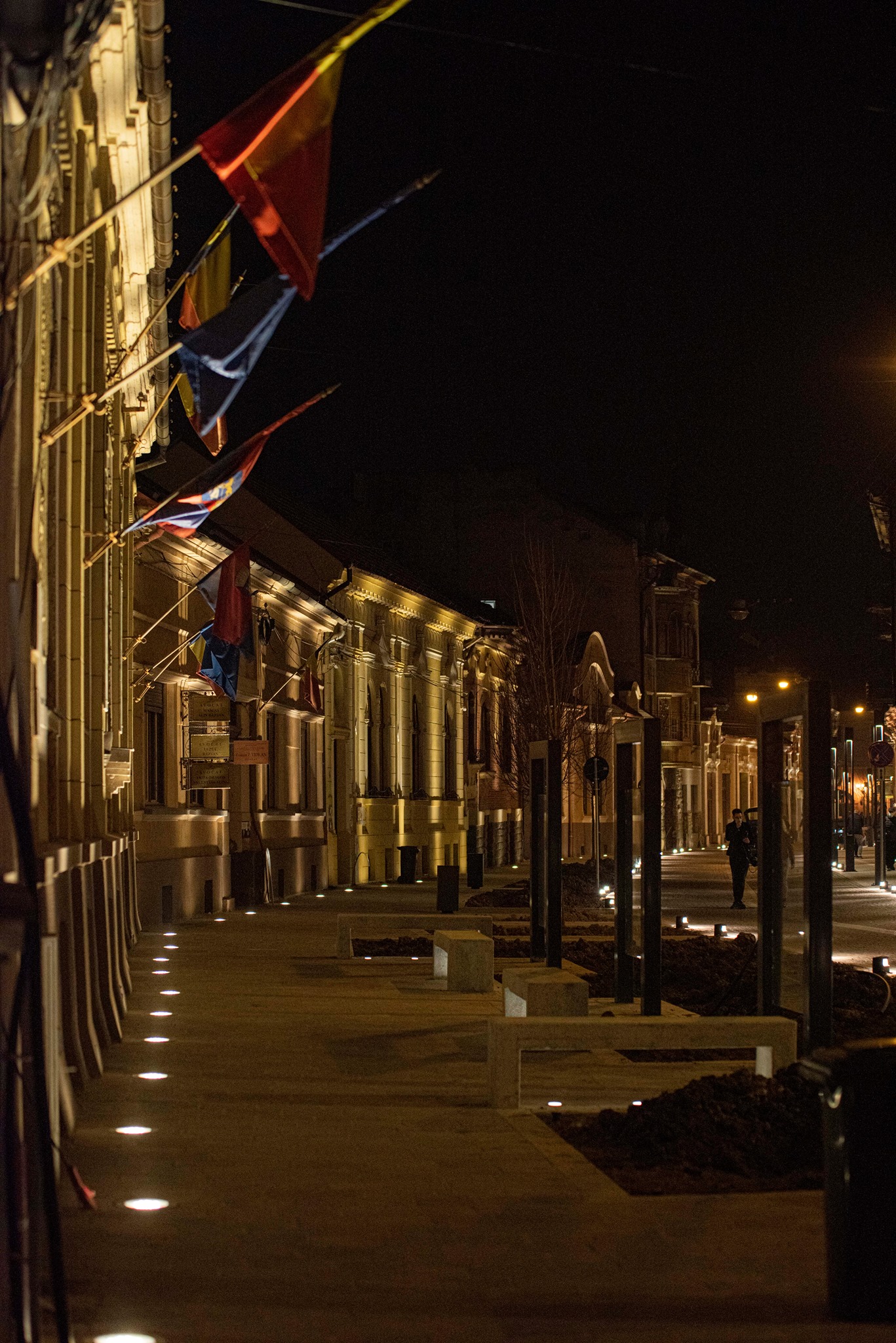 pietonala aurel lazar (5)