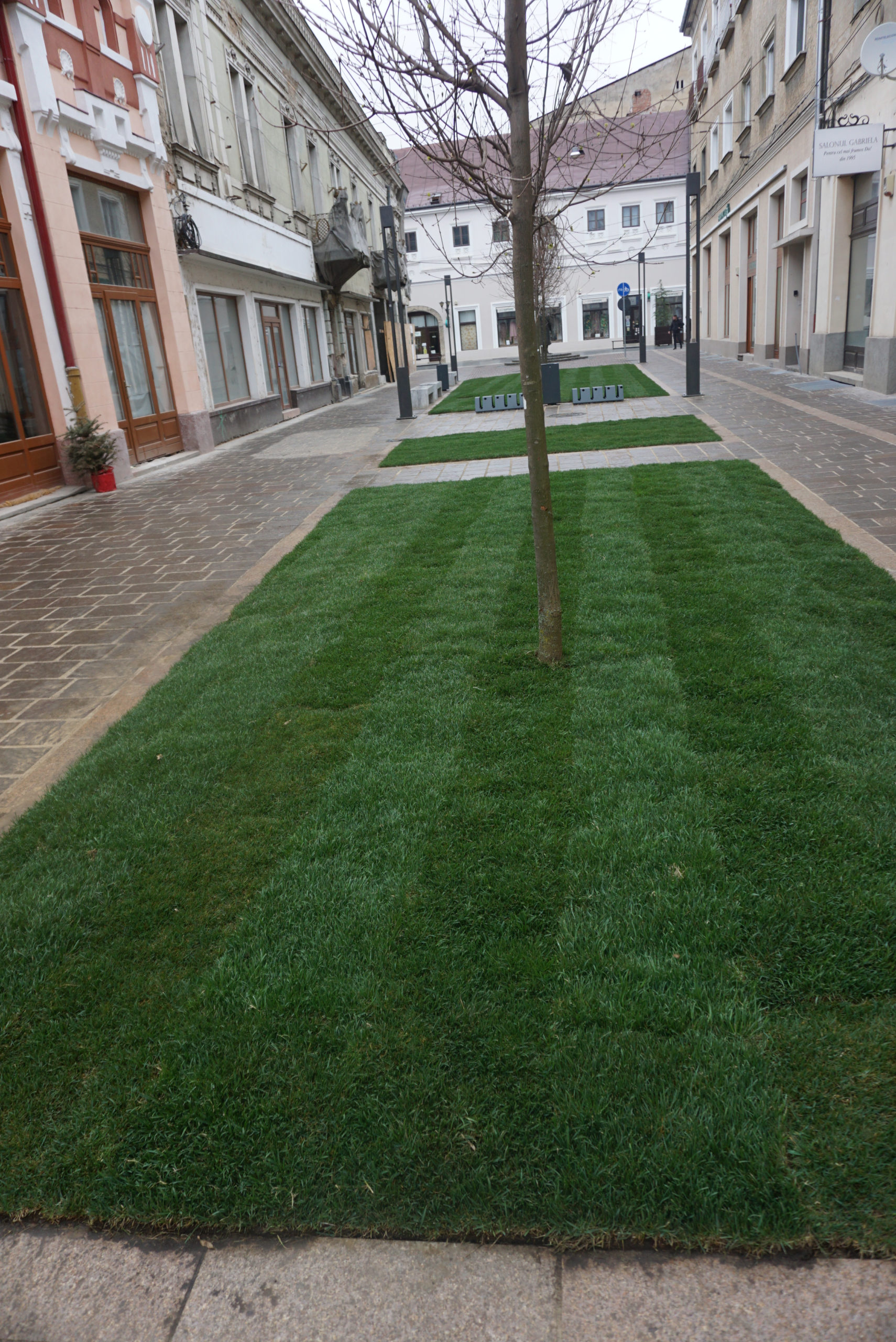 pietonala aurel lazar oradea (3)